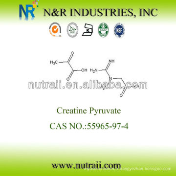 Fournisseur fiable Creatine Pyruvate 55965-97-4